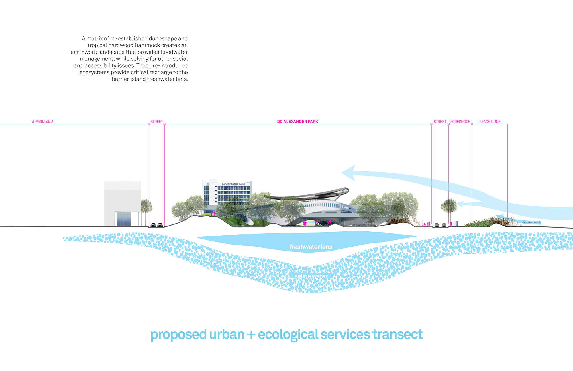 Brooks + Scarpa DC Alexander Park 公園