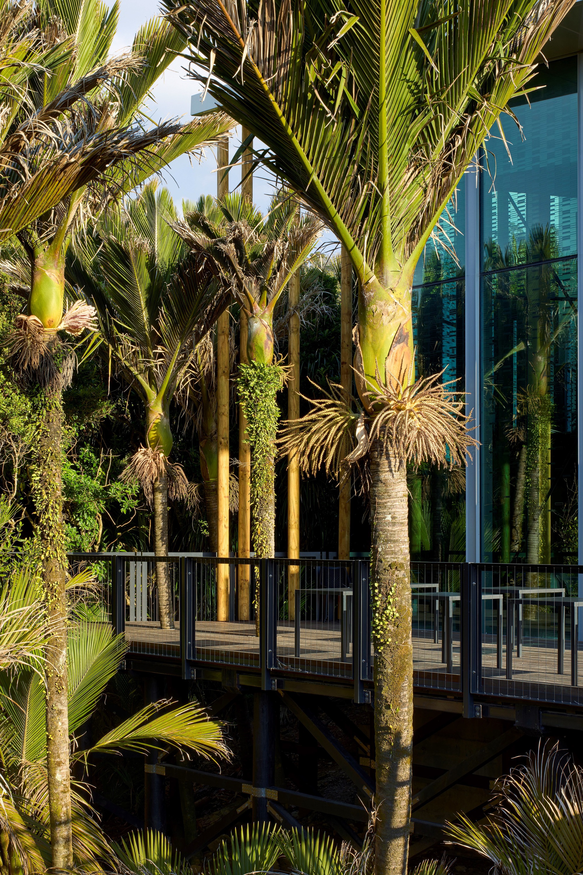 Punangairi Visitor Centre / Sheppard & Rout Architects - Image 8 of 30