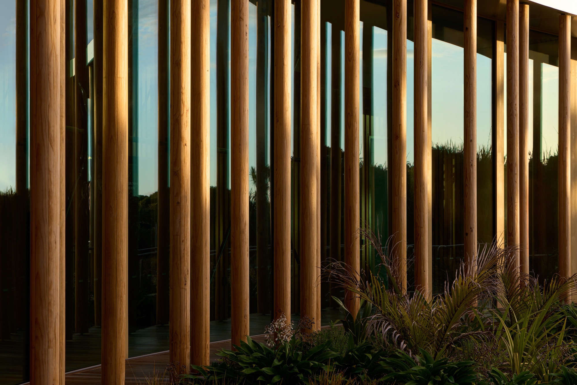 Punangairi Visitor Centre / Sheppard & Rout Architects - Image 15 of 30