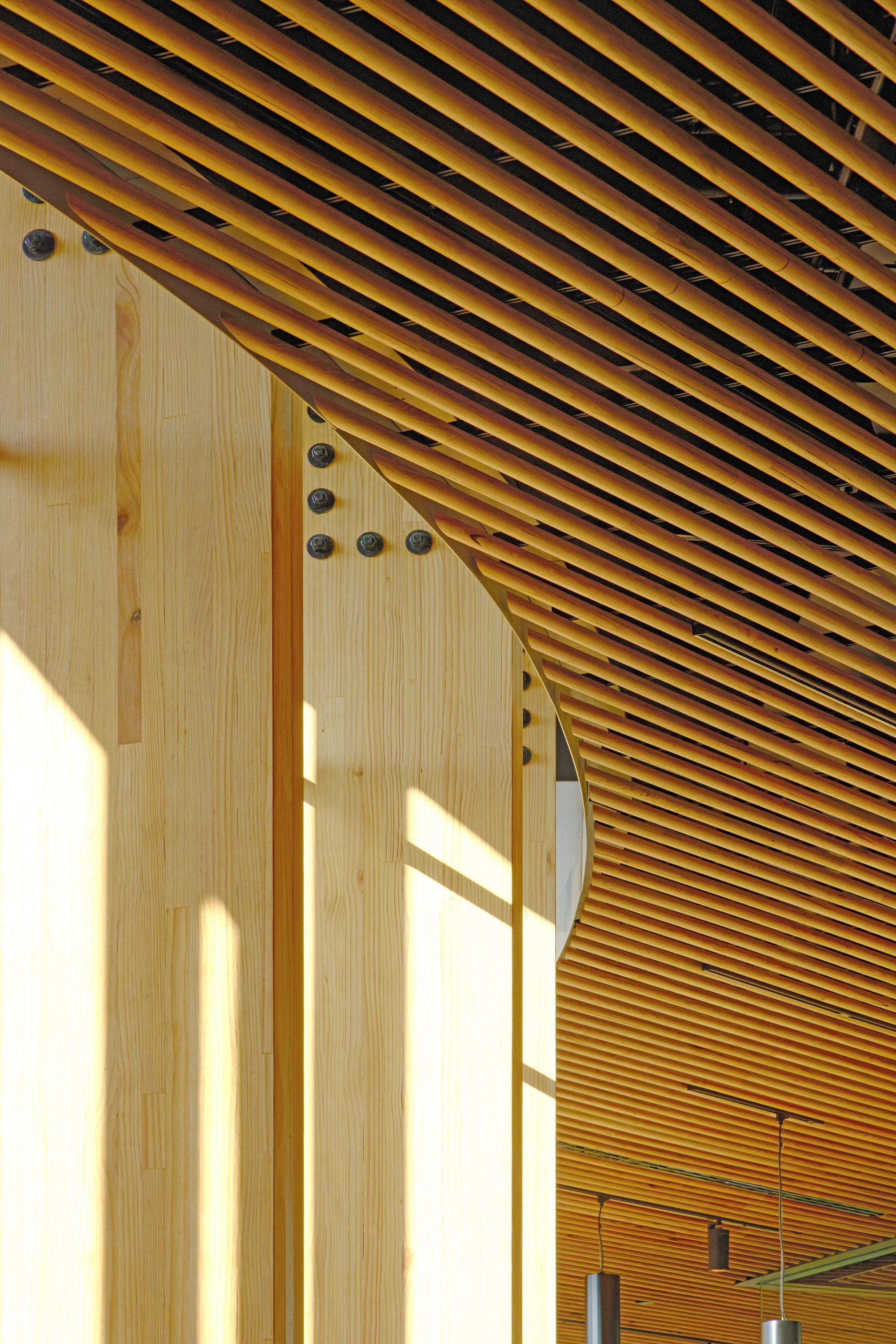 Punangairi Visitor Centre / Sheppard & Rout Architects - Image 4 of 30
