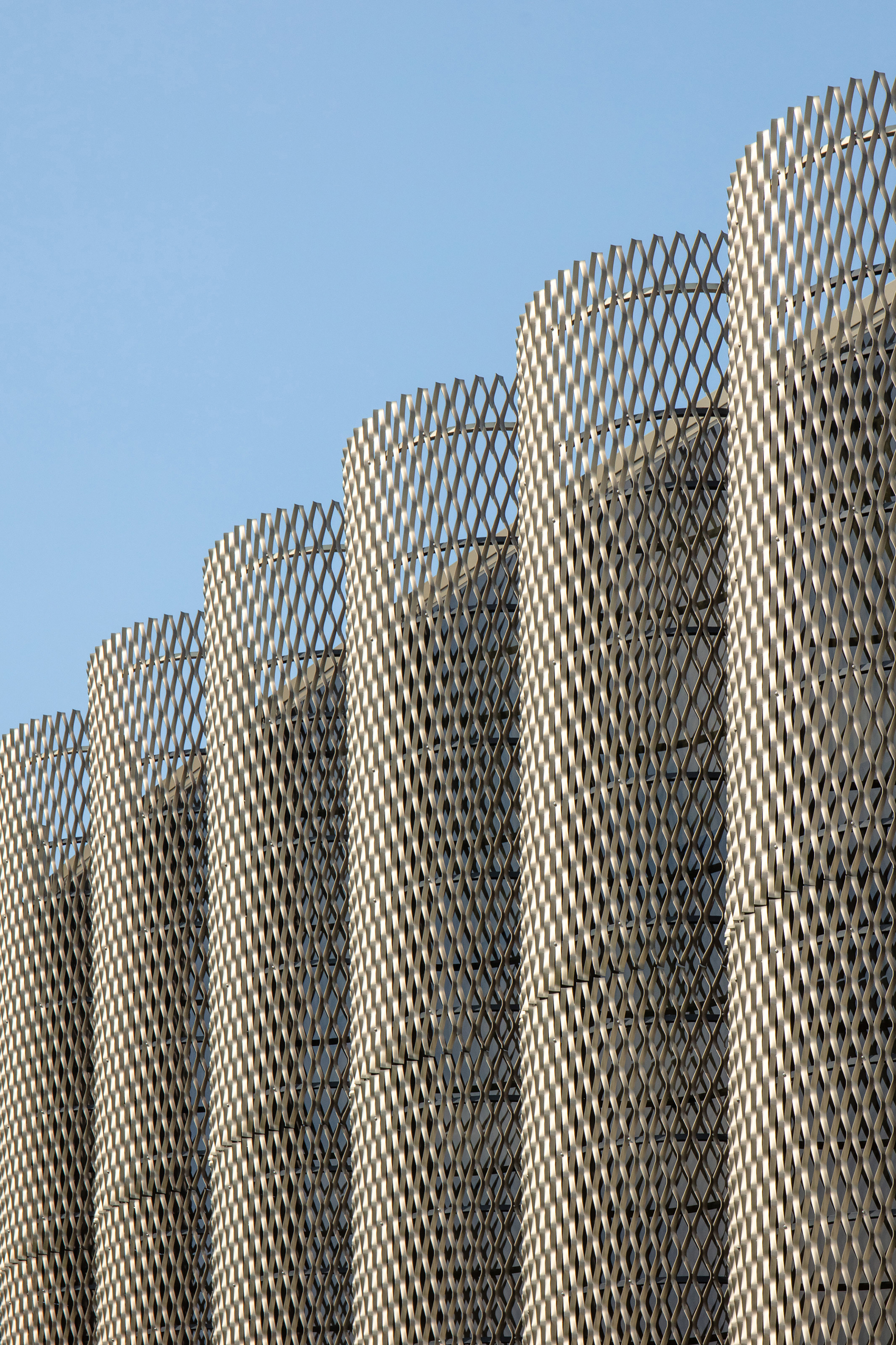 立面運用大量的擴張網