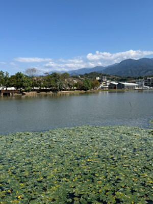 兆國上東琚新案在東勢林木局旁，天天擁抱陽光與自然，打造身心平衡的健康生活
