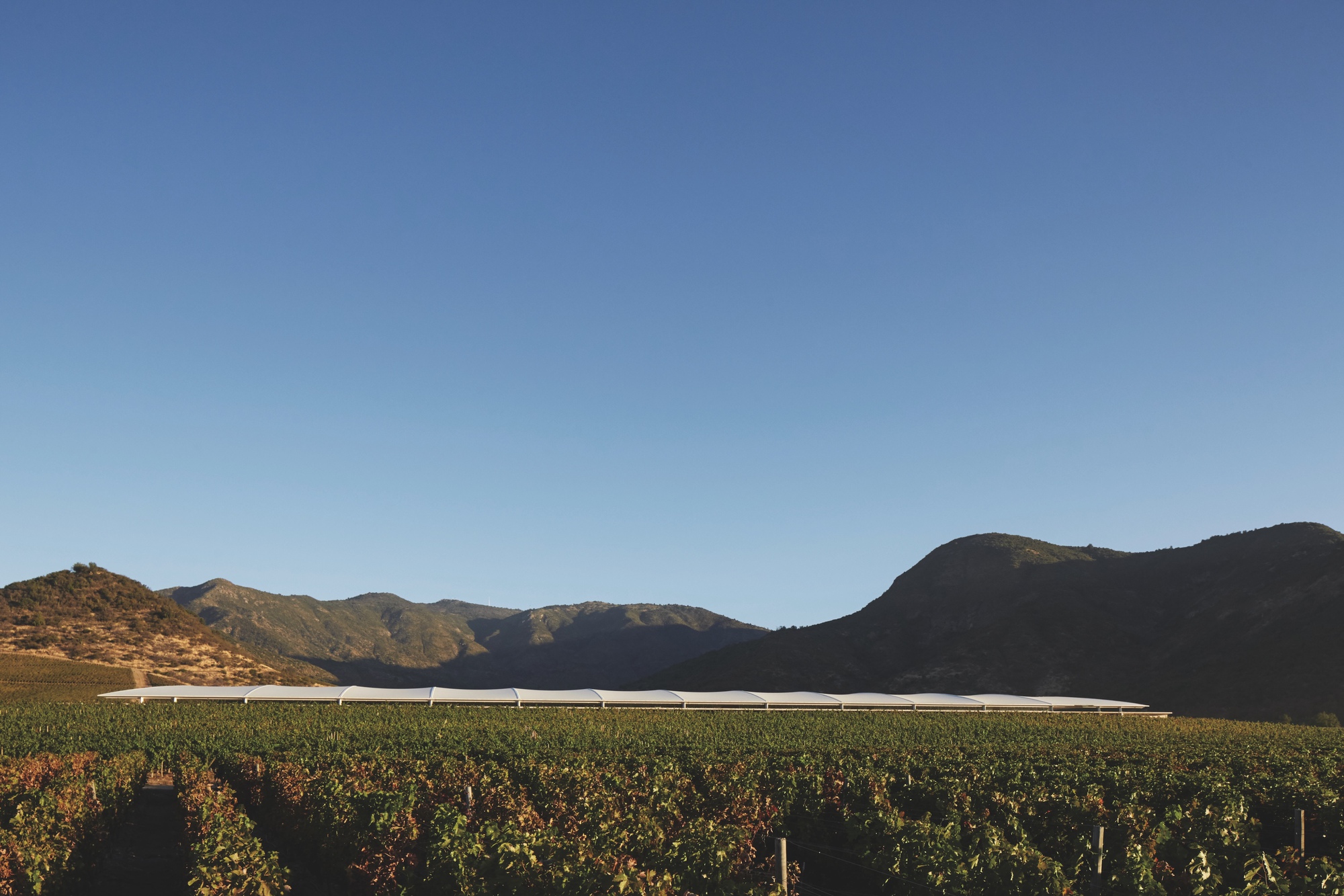 維克米拉胡酒莊（Vik Millahue Winery）