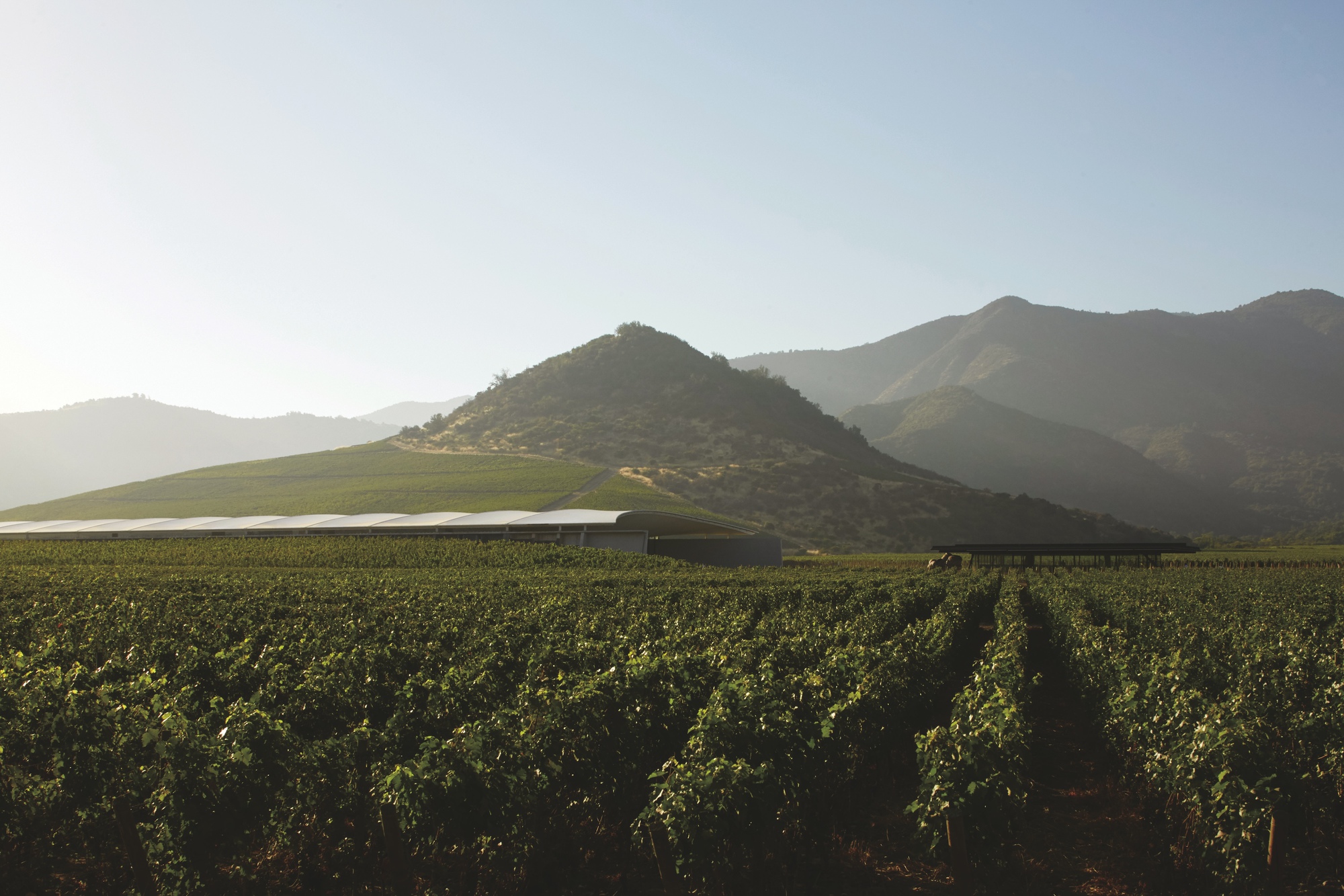 維克米拉胡酒莊（Vik Millahue Winery）