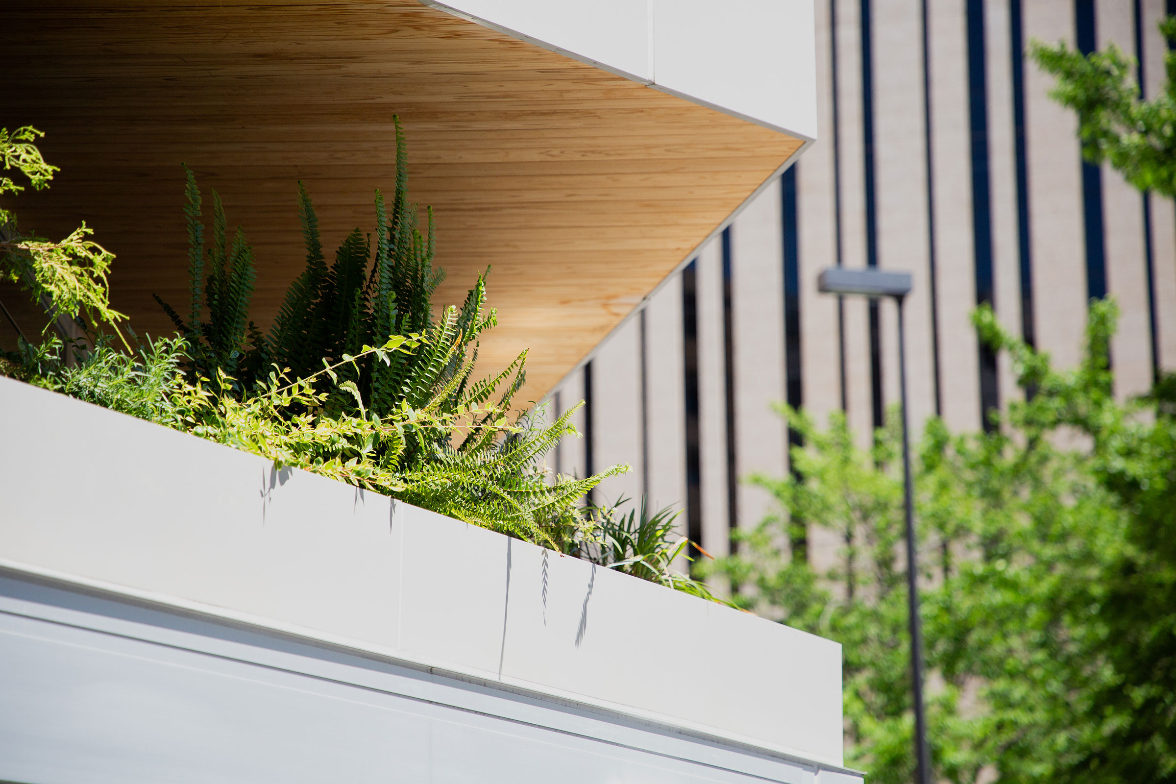 呈現退縮量體處所設置的植栽景觀 ©KOP 小山光