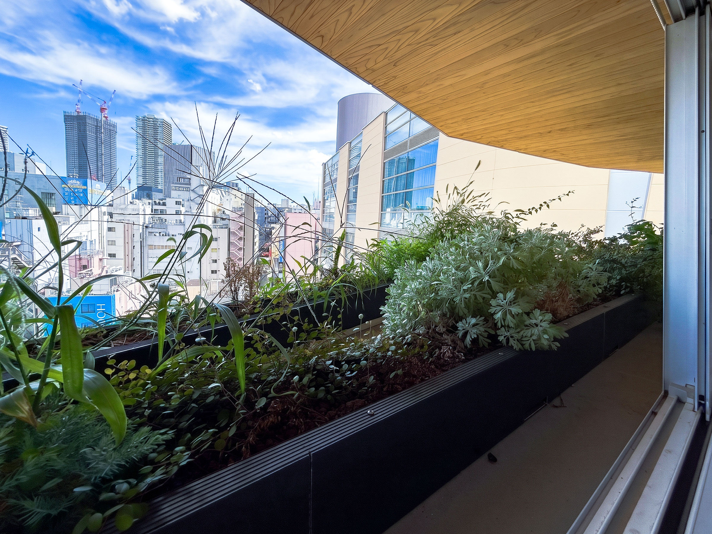 7樓住宅區域，透過夾層的窗戶向外眺望退縮露台處的植栽景觀 ©KOP 小山光